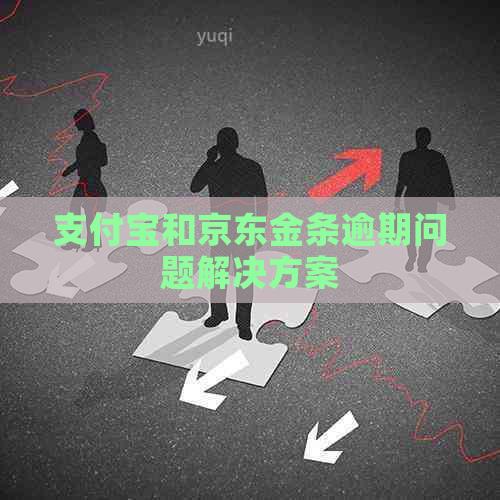 支付宝和京东金条逾期问题解决方案