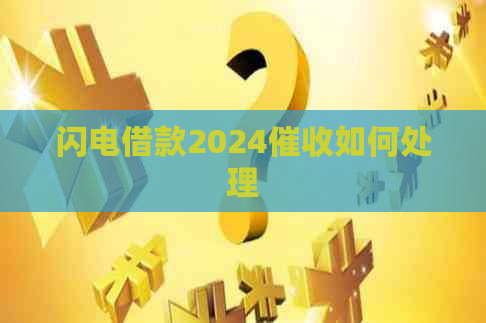 闪电借款2024如何处理