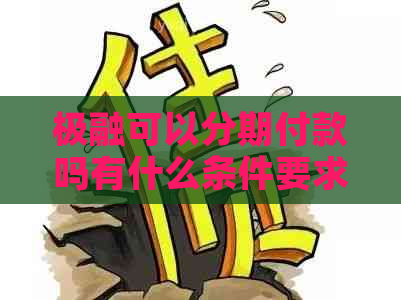 极融可以分期付款吗有什么条件要求