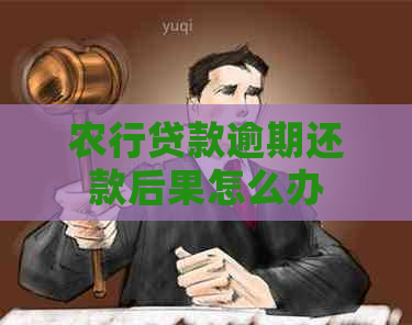 农行贷款逾期还款后果怎么办