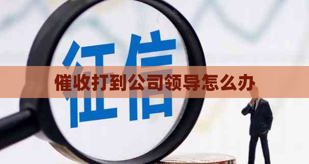 打到公司领导怎么办