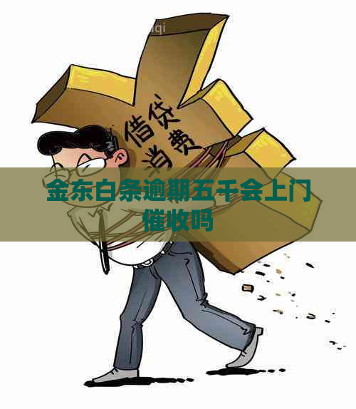 金东白条逾期五千会上门吗