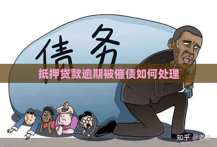 抵押贷款逾期被催债如何处理