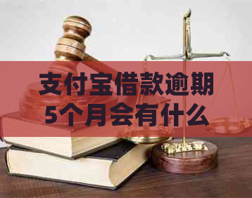 支付宝借款逾期5个月会有什么后果