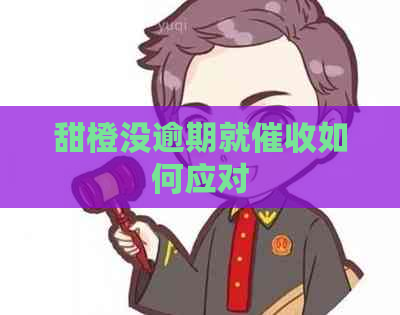 甜橙没逾期就如何应对