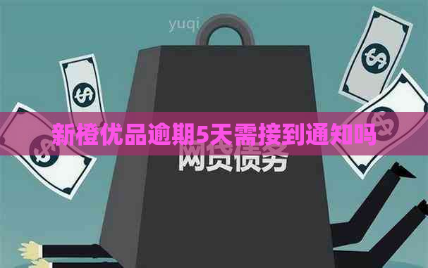 新橙优品逾期5天需接到通知吗