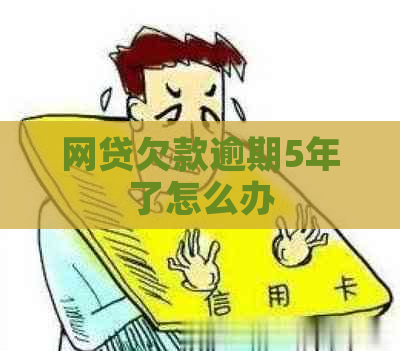 网贷欠款逾期5年了怎么办