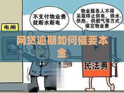 网贷逾期如何催要本金