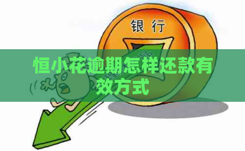 恒小花逾期怎样还款有效方式