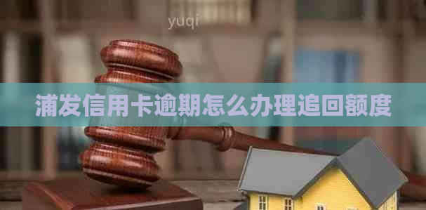 浦发信用卡逾期怎么办理追回额度