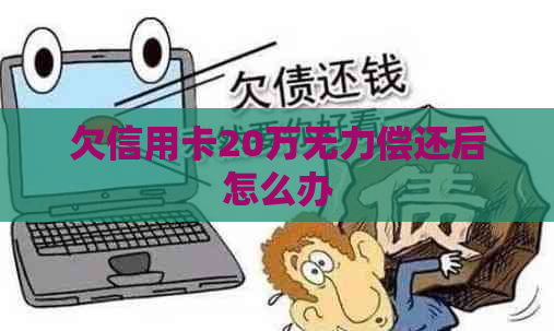 欠信用卡20万无力偿还后怎么办