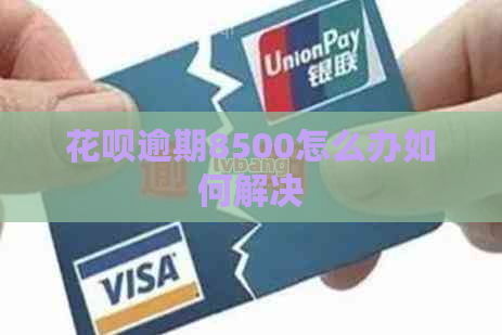 花呗逾期8500怎么办如何解决