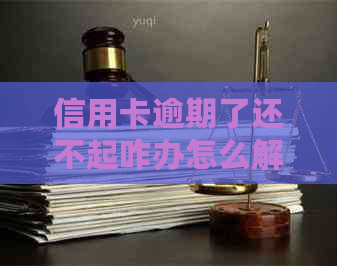 信用卡逾期了还不起咋办怎么解决