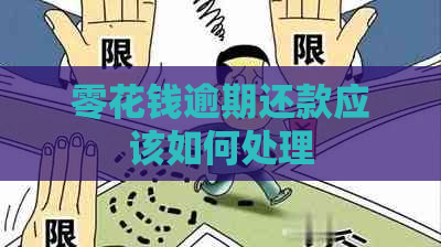 零花钱逾期还款应该如何处理