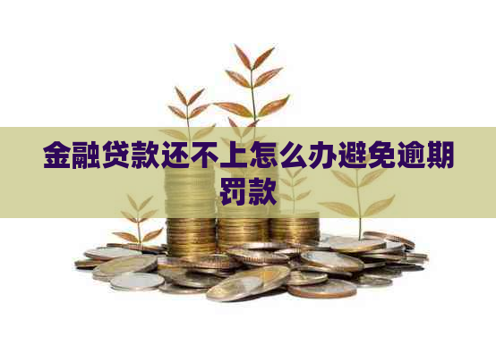 金融贷款还不上怎么办避免逾期罚款