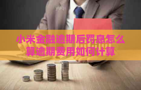 小米金融逾期后罚息怎么算逾期费用如何计算