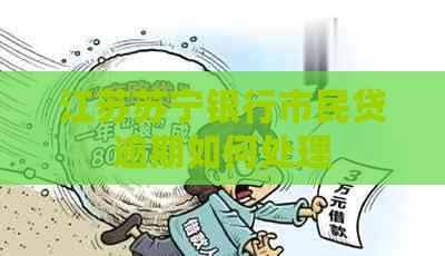 江苏苏宁银行市民贷逾期如何处理