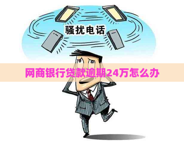 网商银行贷款逾期24万怎么办