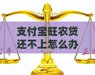 支付宝旺农贷还不上怎么办