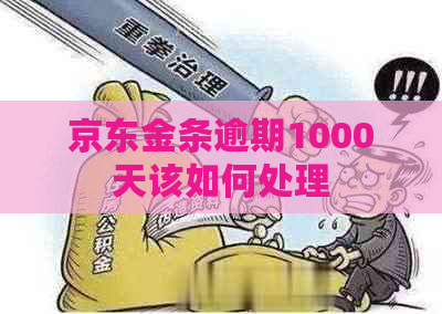 京东金条逾期1000天该如何处理