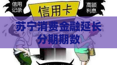 苏宁消费金融延长分期期数