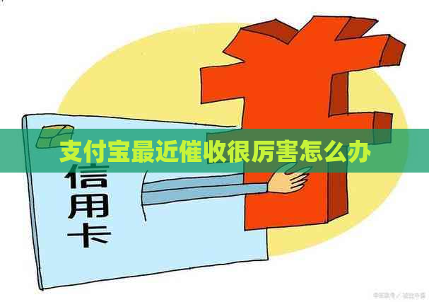 支付宝最近很厉害怎么办