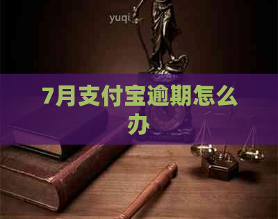 7月支付宝逾期怎么办