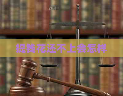 提钱花还不上会怎样