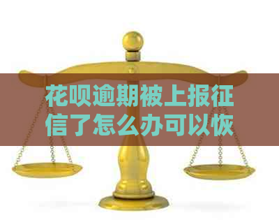 花呗逾期被上报了怎么办可以恢复信用吗