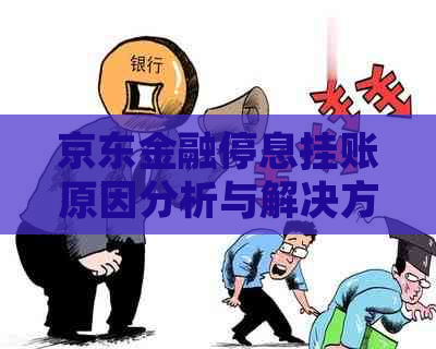 京东金融停息挂账原因分析与解决方案