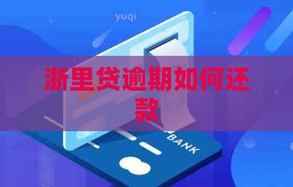 浙里贷逾期如何还款