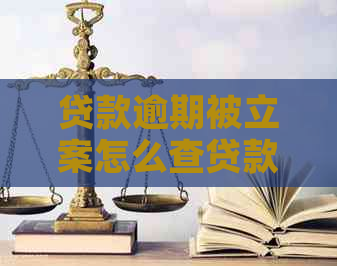 贷款逾期被立案怎么查贷款信息