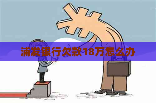 浦发银行欠款18万怎么办