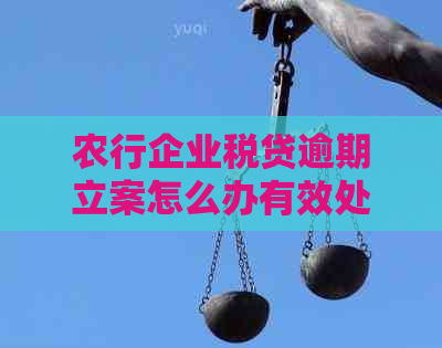 农行企业税贷逾期立案怎么办有效处理方法