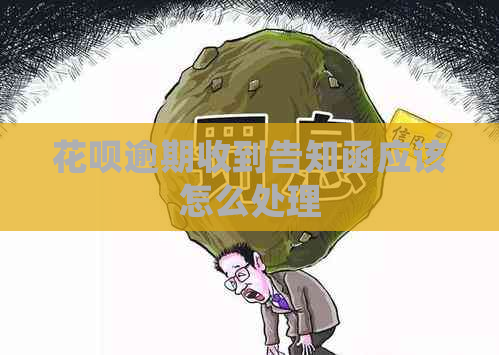 花呗逾期收到告知函应该怎么处理