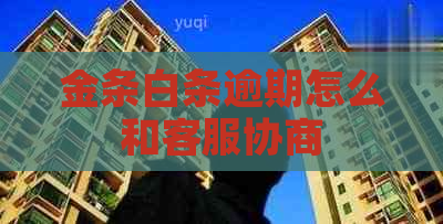 金条白条逾期怎么和客服协商