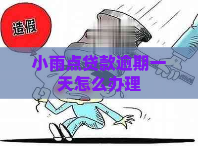 小雨点贷款逾期一天怎么办理