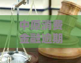 中原消费金融逾期被起诉会有什么后果