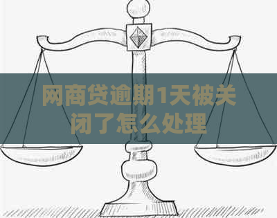 网商贷逾期1天被关闭了怎么处理