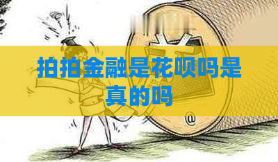 拍拍金融是花呗吗是真的吗