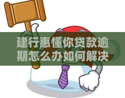 建行惠懂你贷款逾期怎么办如何解决