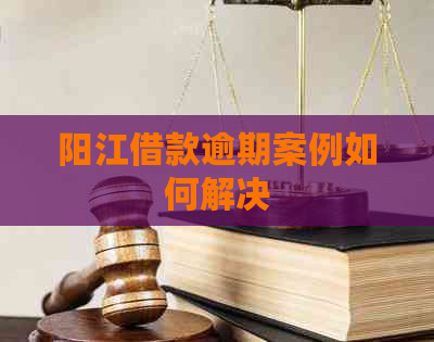 阳江借款逾期案例如何解决