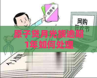 原子贷月光族逾期1年如何处理