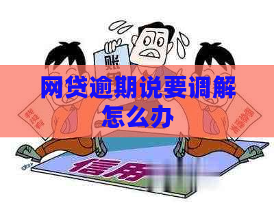 网贷逾期说要调解怎么办