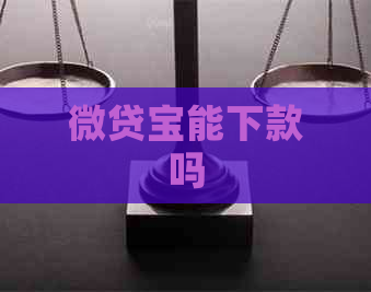 微贷宝能下款吗