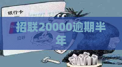 招联20000逾期半年