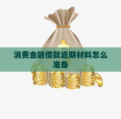 消费金融借款逾期材料怎么准备