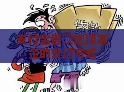 支付宝借呗逾期本金的处理方式