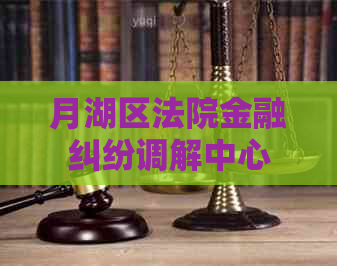 月湖区法院金融纠纷调解中心