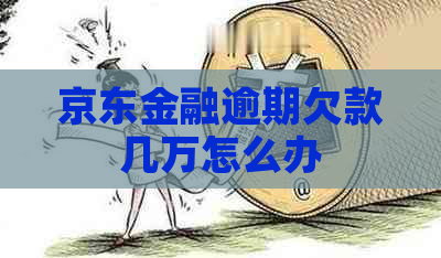 京东金融逾期欠款几万怎么办